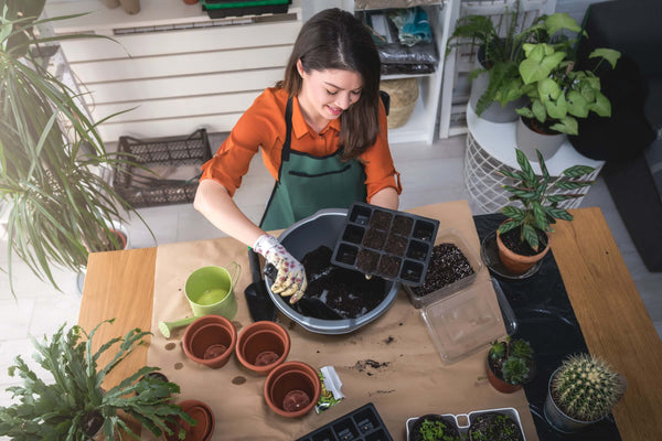 What You Need to Know About How to Start Seedlings Indoors