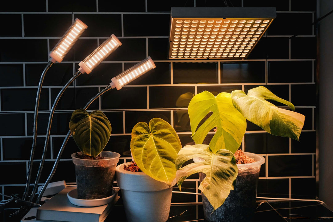 Brite Labs Buy LED Grow Lights for Indoor Plants