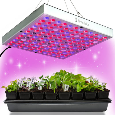 Brite Labs Gaze 10 x 10 LED Grow Lights for Indoor Plants Small Artificial Sunlight Plant Growing Lamp Hanging Kit Red Blue Full Spectrum Bulbs