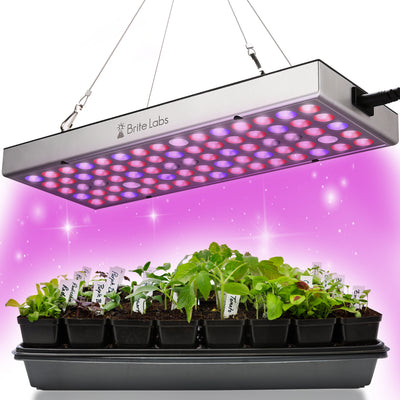 Brite Labs Gaze 10 x 5 LED Grow Lights for Indoor Plants Small Artificial Sunlight Plant Growing Lamp Hanging Kit Red Blue Full Spectrum Bulbs