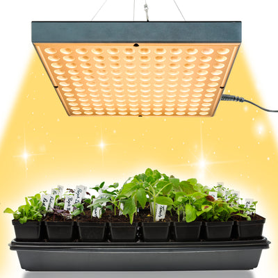 Brite Labs Glow 10 x 10 LED Grow Lights for Indoor Plants Small Artificial Sunlight Plant Growing Lamp Hanging 2700K Kit Full Spectrum Bulbs