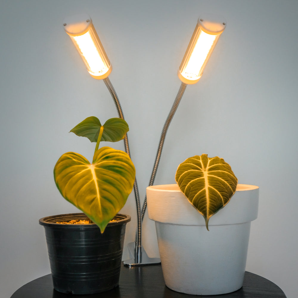 DOMMIA Grow Light Bulb Full Spectrum Grow Light Bulb GU10 Base 6W Grow Light Bulbs for Indoor Plants 100W Equivalent Warmwhite 2500k Grow Light