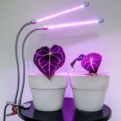 Brite Labs Saber DUO LED Grow Lights For Indoor Plants Small Sun Lamp Bulbs Kit For Greenhouse Hydroponic Seedlings Succulent Vegetable Houseplants Spider Plant Snake Plant