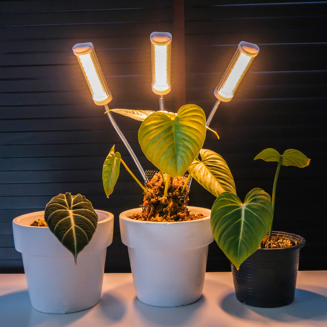 Brite labs grow lights new arrivals