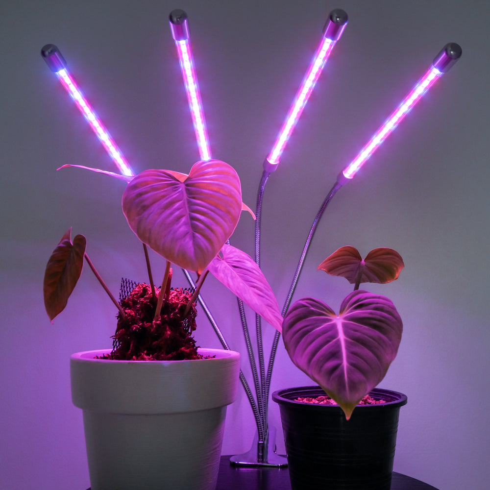 Indoor plant spike lights cheap
