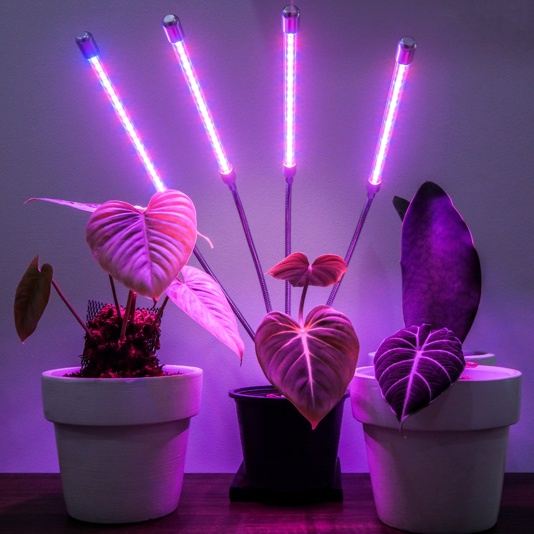 Brite Labs LED Grow Lights for Indoor Plants Seed Starting Seedlings and Succulents Red Blue Spectrum Growing Lamps 4 Head Gooseneck Clip On