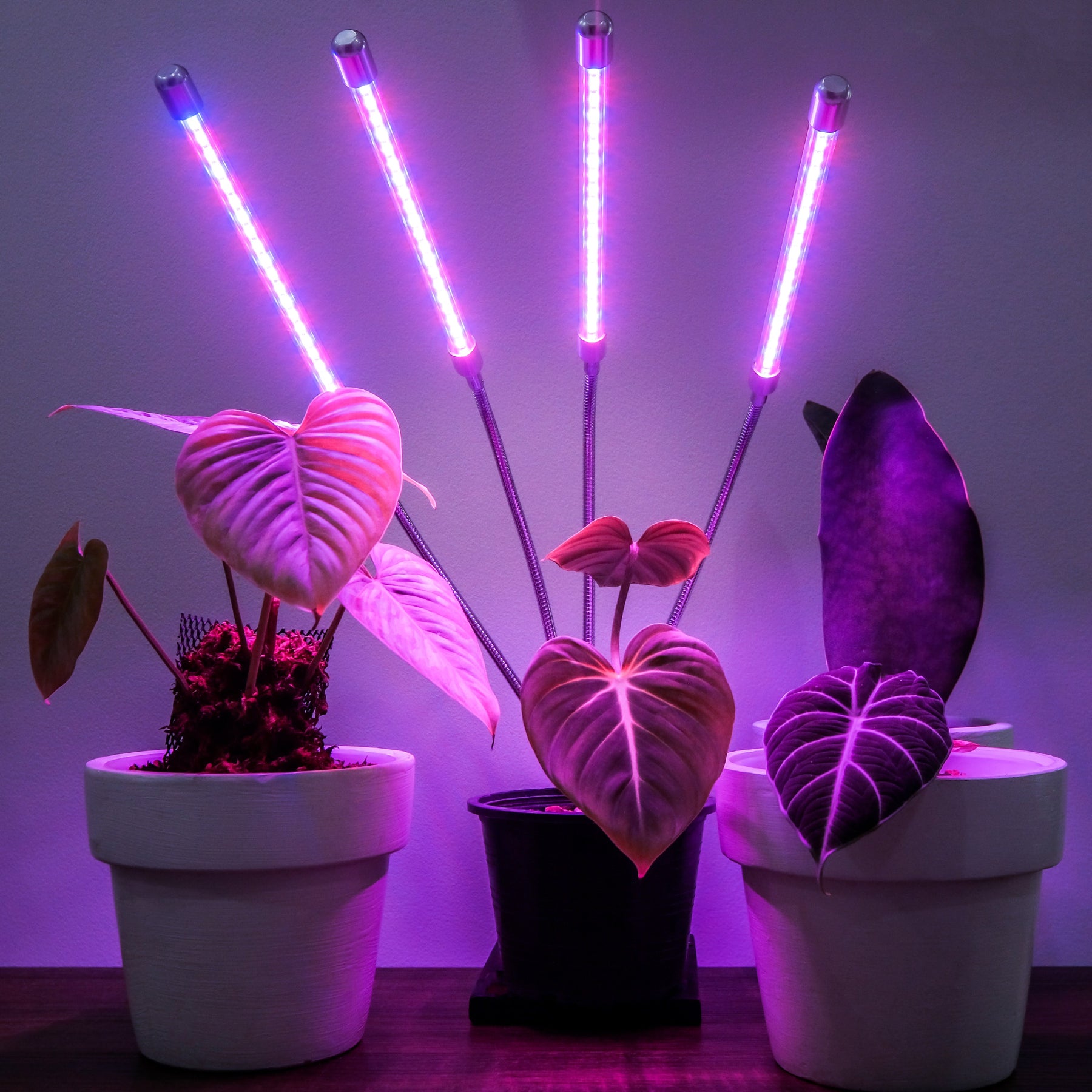 Brite Labs Lampe Horticole LED Spectre Complet - 25W LED Grow