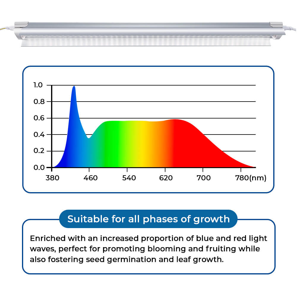 Brite Labs Prism 5000K 4 Pack